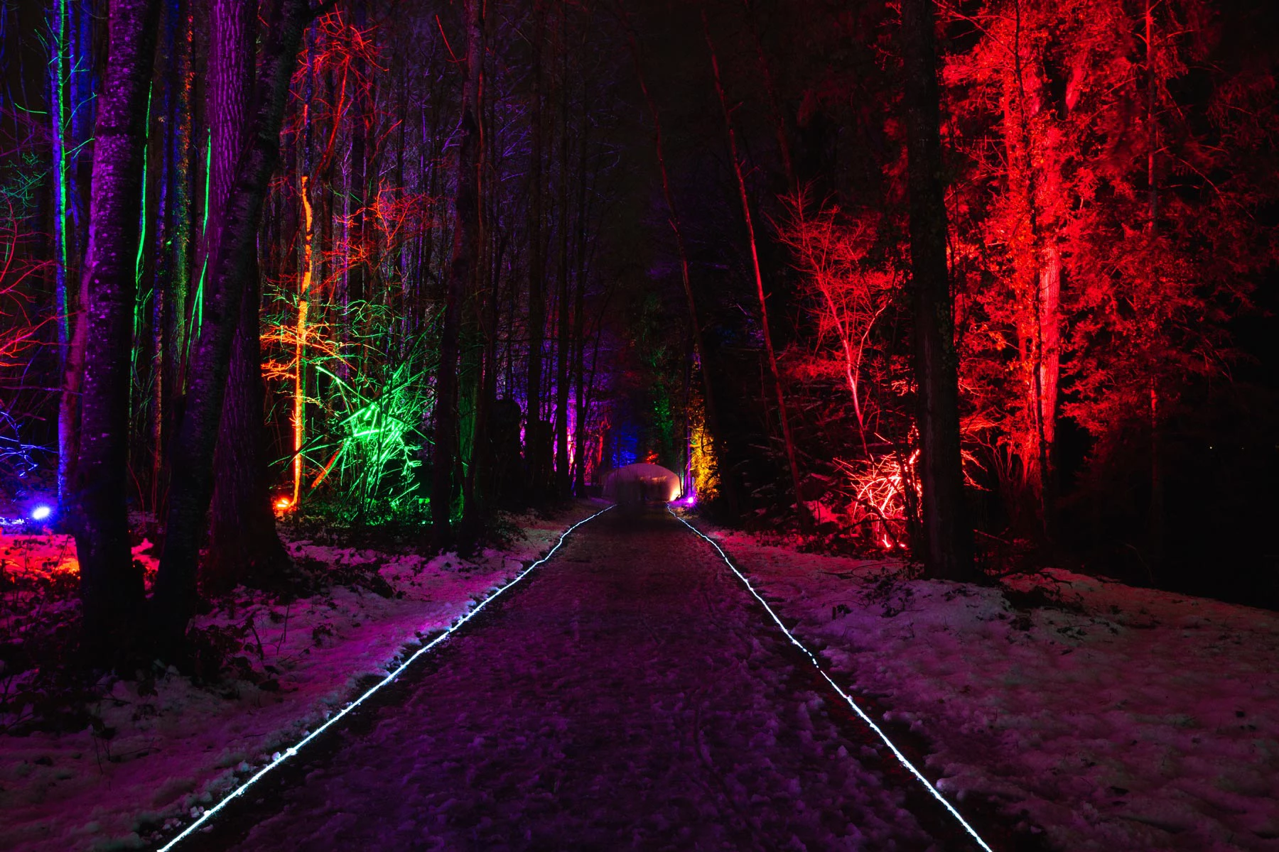 Broye Luminis, photographie du chemin de la forêt.